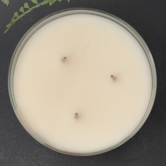 BBW Pink Peach Blossom Bath & Body Works 3 Wick Candle - Picture 7 of 10